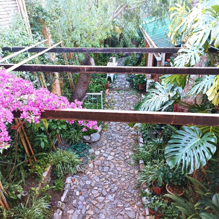 Colonia Suite Apartments Colonia del Sacramento Buitenkant foto