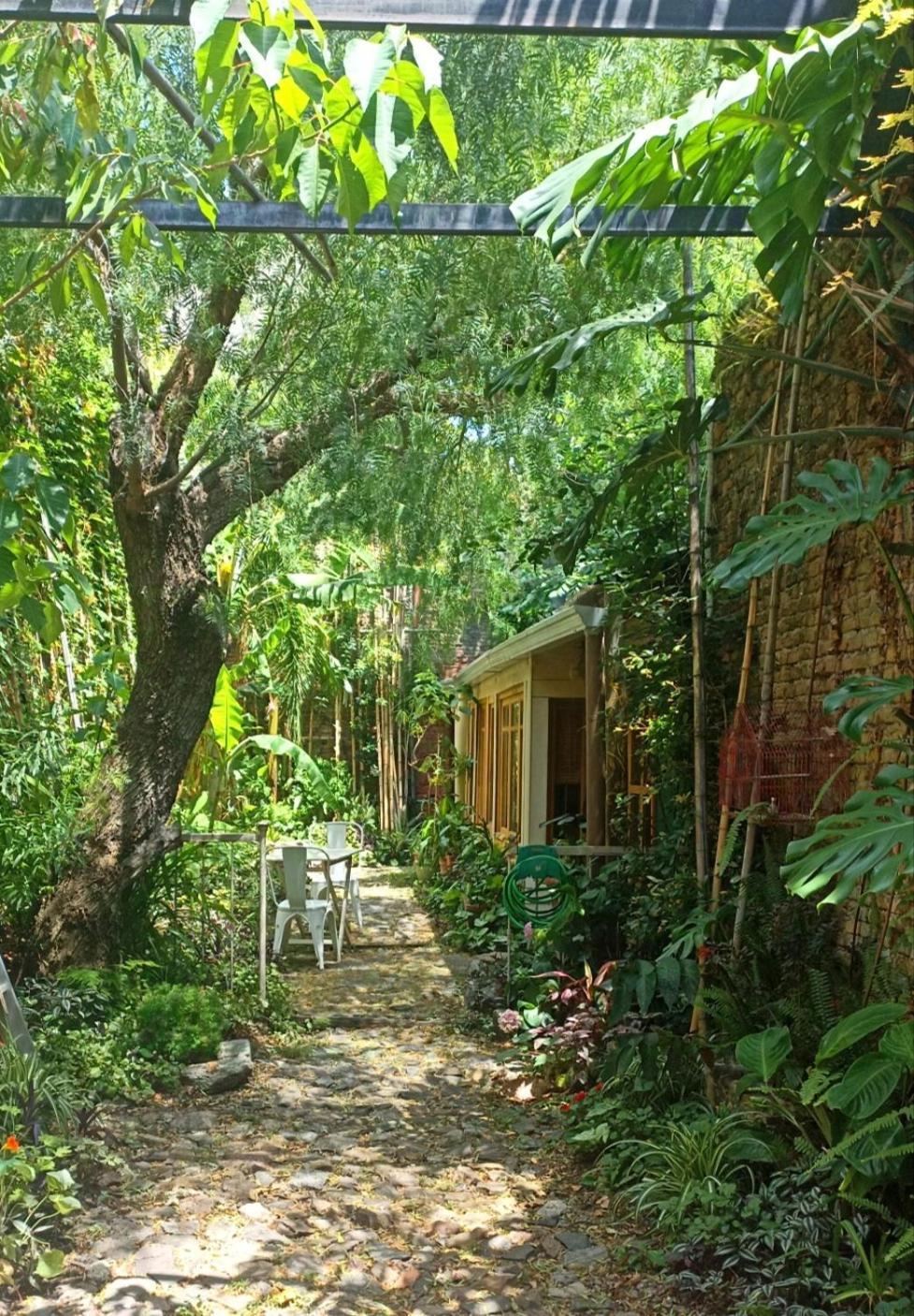 Colonia Suite Apartments Colonia del Sacramento Buitenkant foto
