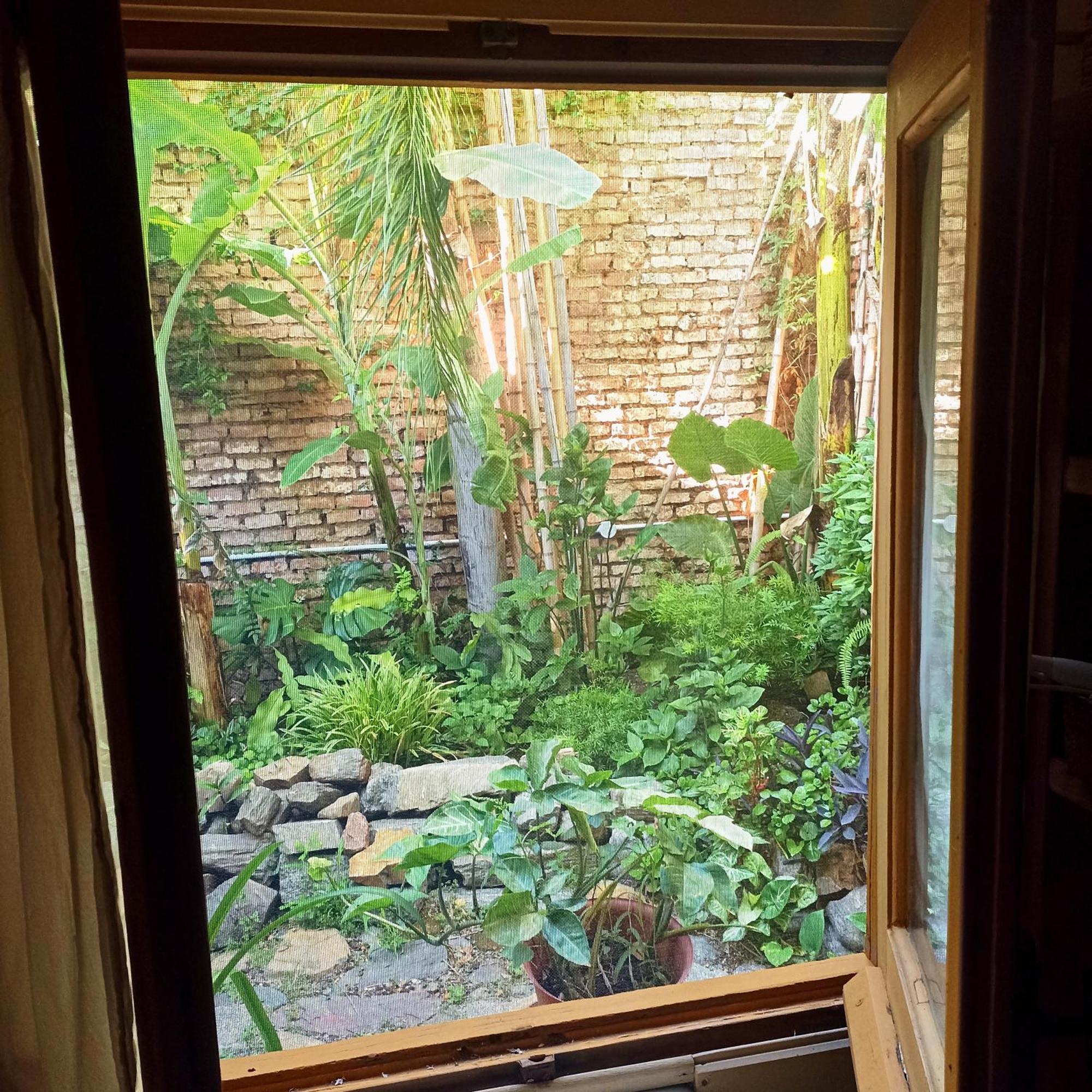 Colonia Suite Apartments Colonia del Sacramento Kamer foto